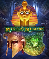 Mystery Museum