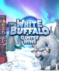 White Buffalo