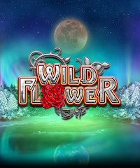 Wild Flower